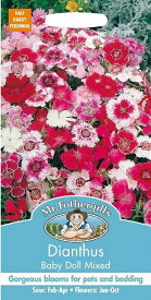【種子】Mr.Fothergill's Seeds Dianthus Baby Doll Mixed ダイアンサス(なでしこ) ベビー・ドール・ミックス ミスター・フォザーギルズシード