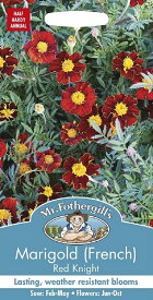 【種子】Mr.Fothergill's Seeds Marigold (French) Red Knight マリーゴールド（フレンチ） レッド・ナイト ミスター・フォザーギルズ・シード