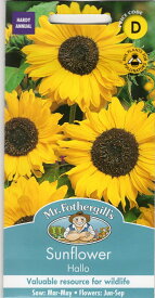 【輸入種子】Mr.Fothergill's Seeds Sunflower Hallo サンフラワー（ひまわり）・ハロー ミスター・フォザーギルズシード