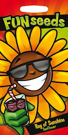【種子】Mr.Fothergill's Seeds FUN seeds Sunflower Ray of Sunshine サンフラワー（ひまわり）レイ・オブ・サンシャイン ミスター・フォザーギルズシード