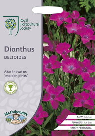 【種子】Mr.Fothergill's Seeds Royal Horticultural Society Dianthus DELTOIDES ダイアンサス デルトイデス ミスター・フォザーギルズシード