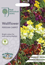 【種子】Mr.Fothergill's Seeds Royal Horticultural Society Wallflower PERSIAN CARPET ウォールフラワー ペルシャン・カーペット ミスター・フォザーギルズシード