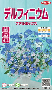 yqzftBjE vf~bNX TJ^̃^l