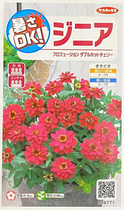 楽天市場 種子 ジニア プロフュージョン ダブルホットチェリー サカタのタネ農林水産省品種登録登録品種名 Sakzin014海外持出禁止 Ivy