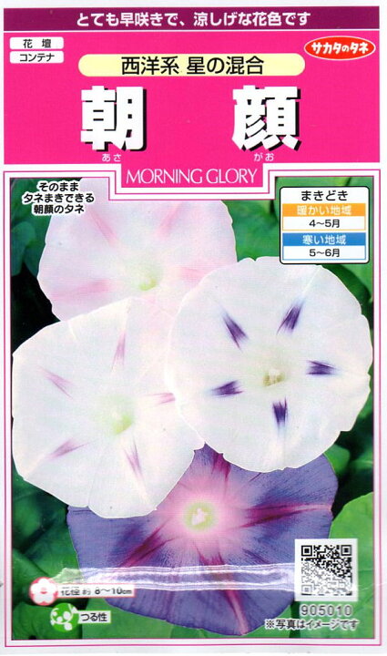 楽天市場 種子 朝顔西洋系 星の混合サカタのタネ Ivy
