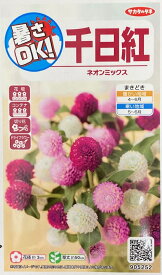 花種子 千日紅 ネオンミックス サカタのタネ 農林水産省品種登録 登録品種名 SAKGOM001 SAKGOM002 SAKGOM006海外持出禁止