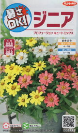 【種子】ジニア プロフュージョン キュートミックス サカタのタネ 農林水産省品種登録 登録品種名 SAKZIN016 SAKZIN009 海外持出禁止