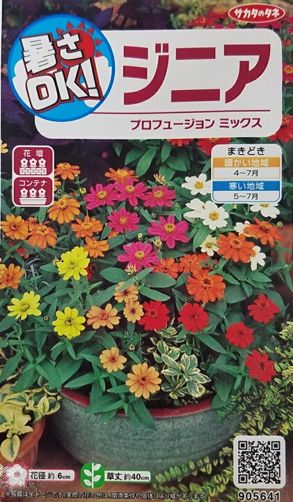 楽天市場 種子 ジニア プロフュージョン ミックスサカタのタネ農林水産省品種登録登録品種名プロフュージョンホワイト Sakzin017他品種登録出願中海外持出禁止 Ivy