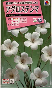 yqzAOXe} I[V p[ ^LCc̃^l