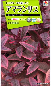 種 アマランサス 種の人気商品 通販 価格比較 価格 Com