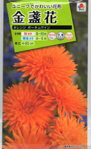 【種子】金盞花(きんせんか)オレンジ ポーキュパイン タキイ種苗のタネ