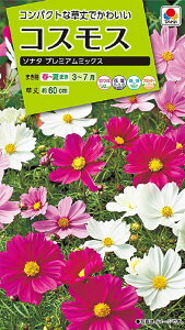 Ԏq RXX \i^ v~A~bNX ^LCc̃^l