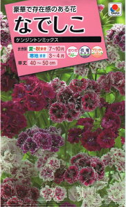 q Ȃł PWg~bNX ^LCc̃^l