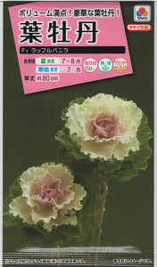 yqztO F1 btoj ^LCc̃^l