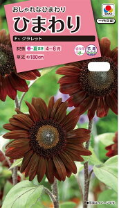 Ԏq Ђ܂ F1 Nbg ^LCc̃^l