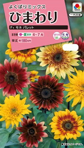 �Ԏ�q �Ђ܂�胂�l �p���b�g �^�L�C��c�̃^�l