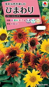 Ԏq Ђ܂ pL[g~bNX ^LCc̃^l