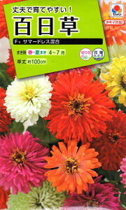 Ԏq SiWjAjF1 T}[hX ^LCc̃^l