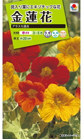 【種子】金蓮花（ナスターチューム）アラスカ混合 タキイ種苗のタネ