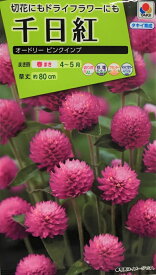 【種子】千日紅 オードリー ピンクインプ タキイ種苗のタネ
