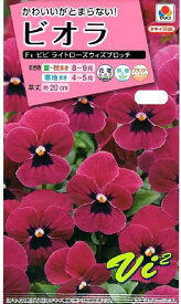 楽天市場 日陰 ビオラの通販
