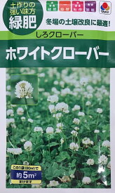 【種子】ホワイトクローバー（シロクローバー）品種名 フィア タキイ種苗のタネ