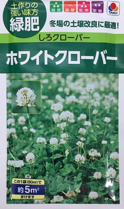 楽天市場 種子 ホワイトクローバー シロクローバー 品種名 フィア タキイ種苗のタネ Ivy