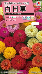 ジニア 種の人気商品 通販 価格比較 価格 Com