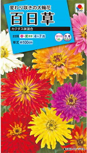 Ԏq SiWjAjJN^X獬 ^LCc̃^l