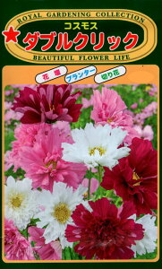 Ԏq RXX _uNbN g[zÑ^l