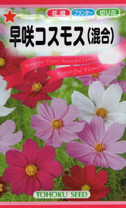 Ԏq RXXijh[tZZ[V g[zÑ^l