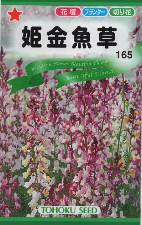 楽天市場 種子 姫金魚草 リナリア トーホクのタネ Ivy