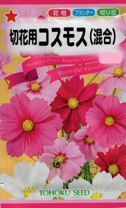 Ԏq ؉ԗpRXX() ZZ[V g[zÑ^l