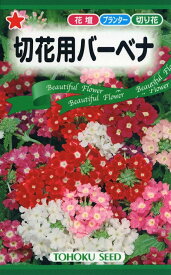 【種子】切花用バーベナ トーホクのタネ