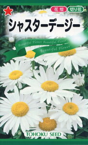 Ԏq VX^[f[W[ g[zÑ^l