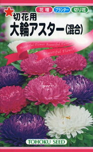 【種子】大輪アスター(混合) トーホクのタネ