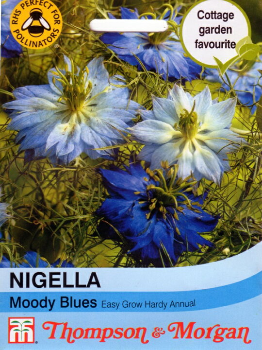 楽天市場 輸入種子 Thompson Morgannigella Moody Bluesニゲラ ムーディー ブルーストンプソン モーガン Ivy