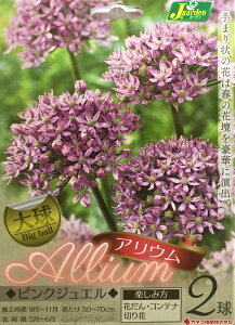 球根 アリウムの人気商品 通販 価格比較 価格 Com 球根 アリウムの人気商品 通販 価格比較 価格 Com
