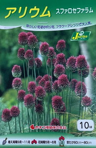 yԋzAE Xt@Zt@ 10 JlRc̋