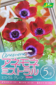 花球根 アネモネ ミストラル グレープ 5球入 カネコ種苗の球根