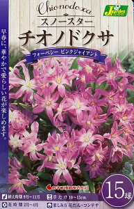 ԋ Xm[X^[ `ImhNT tH[xV[ sNWCAg 15 JlRc̋