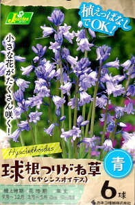 yԋz肪ˑ(qVXICfX)6JlRc̋