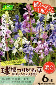 ԋ 肪ˑ(qVXICfX)  6JlRc̋