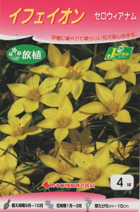 yԋzCtFCI ZEBAi 4 JlRc̋