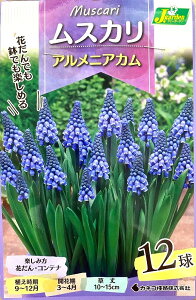 yԋzXJ AjAJ 12 JlRc̋