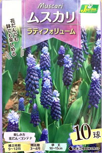 yԋzXJ eBtH[ 10 JlRc̋