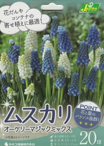 yԋzXJ I[P[}WbN~bNX 20JlRc̋