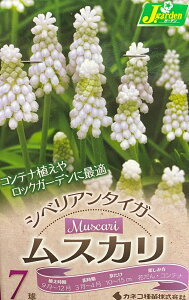 yԋzXJ VxA^CK[ 7 JlRc̋