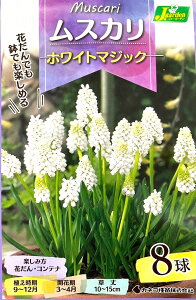 yԋzXJ zCg}WbN 8 JlRc̋