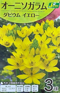 ԋ I[j\K _rE CG[ 3 JlRc̋